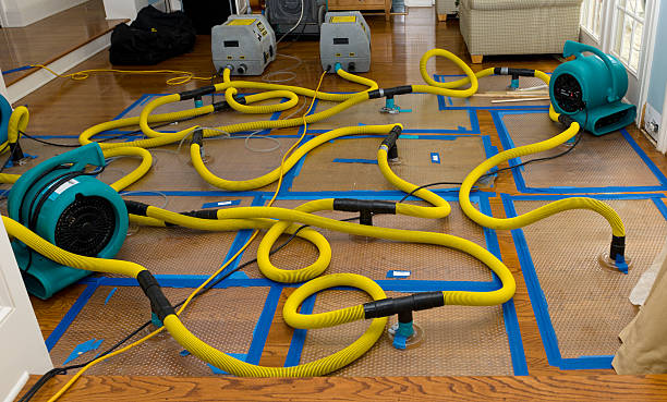 Professional Crawl Space Water Removal technician working in Plymouth, MA